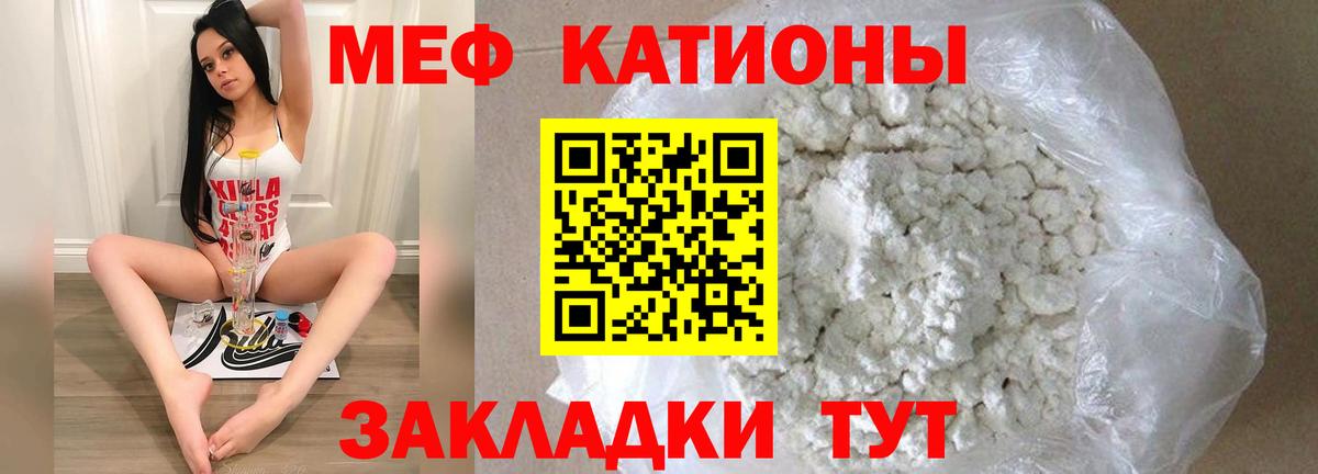 МЕФ  Каменка