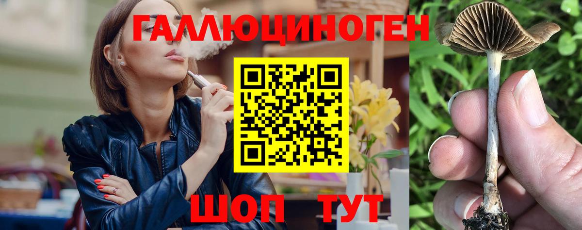 Галлюциногенные грибы прущие грибы  Вход с VPN  купить наркотики сайты  Каменка 